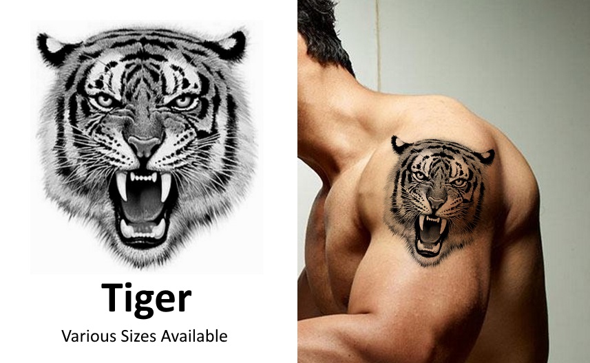 TIGER